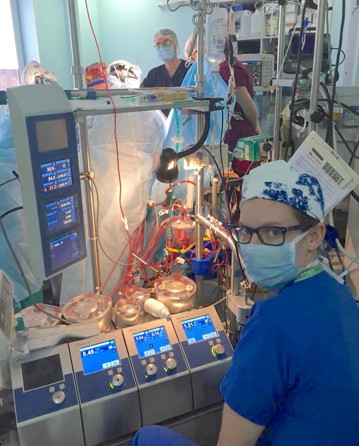 Read more about the article Perspective from a Perfusion Student